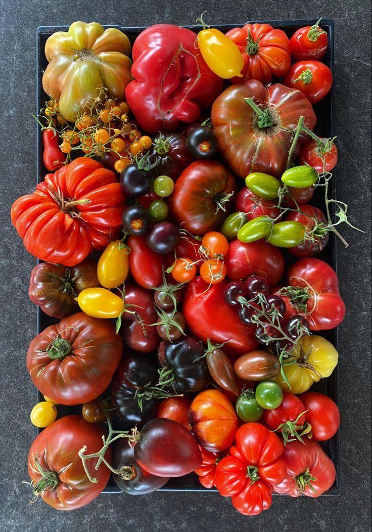 Orchard Medley Box: Seasonal Fruit Symphony