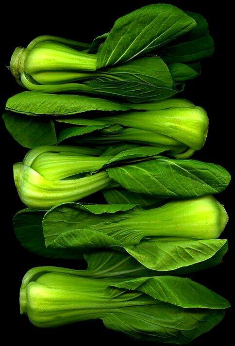 Garden Bounty Assortment: Fresh Field Picks